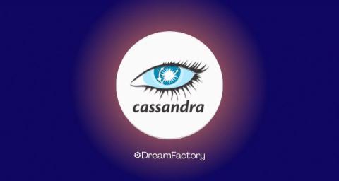 dreamfactory