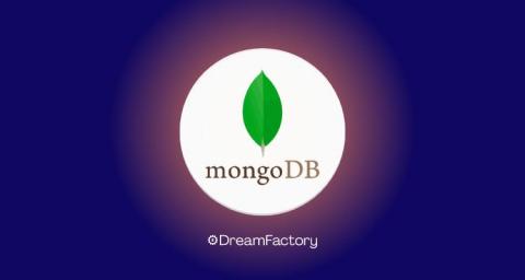 dreamfactory
