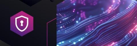 InsightSoftware