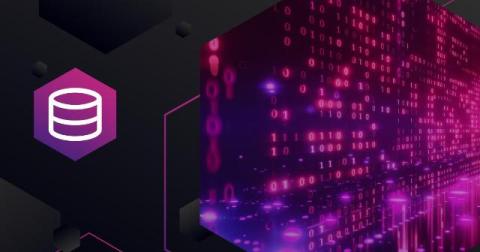 InsightSoftware