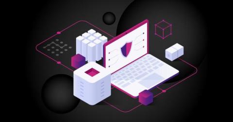 InsightSoftware