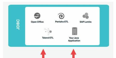 InsightSoftware